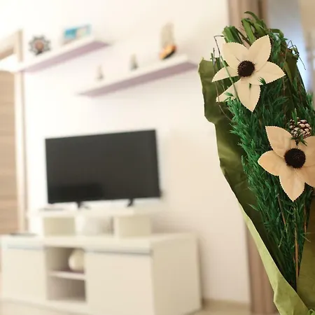 Amy Sunhouse- Desilva Apartmán Mamaia